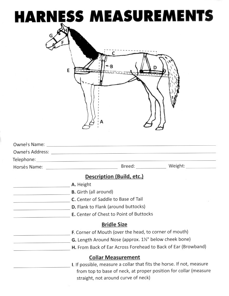 horse-measurement-guide